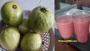 Jika komedo pecah, jerawat pun terjadi. Jambu Biji Merah Dapat Atasi Asam Lambung Dan Tingkatkan Imun Tubuh Padang Time