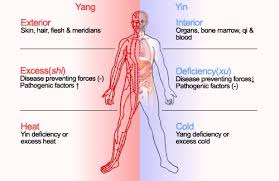 Health And Illness In Traditional Chinese Medicine