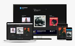 Accuradio is a simple and unfussy website that offers you a wide range of music to choose from. Music Unblocked Transparent Background Stingray Music App Hd Png Download Kindpng