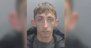 Underworld gun runner linked to bombs and drugs dies in prison