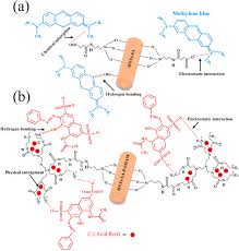 No wa yaya 2020 asli. Amino Dendritic And Carboxyl Functionalized Halloysite Nanotubes For Highly Efficient Removal Of Cationic And Anionic Dyes Kinetic Isotherm And Thermodynamic Studies Sciencedirect