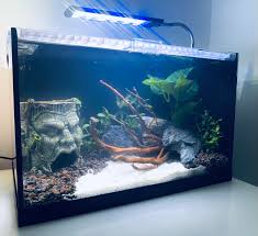 Make sure the filter is very low current. Just Sharing My 7g Betta House Bettafish