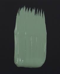 In this environment, we gave them room to breathe — a clean background where you can really see them think of a sage green and then add a hint of bright lemon. Sage Green Paint Sage Advice Calm Yet Strong Muted Green