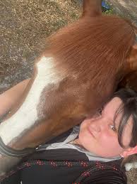 Kentucky saddle suitable for deep seat?