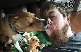 Rescue saves pets across Alabama