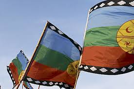 Todos los tamaños confección chilena banderas chilenas banderas de países banderas personalizadas. La Joven Bandera Mapuche Se Toma Las Calles La Tercera