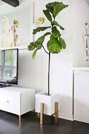 Signature mid century planters & decor. Wooden Mid Century Plant Stand Diy A Beautiful Mess
