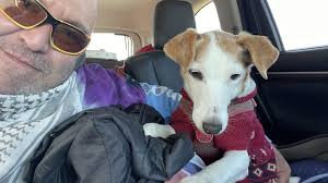 This is our Benny boy! We adopted him from the rescue and just love him. He  is the sweetest little boy.