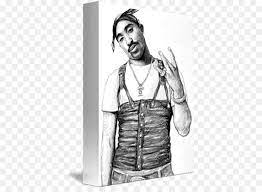 Tupac shakur's brother says trump campaign 'disrespectful'. Tupac Shakur Zeichnung Malerei Leinwand Druck Skizze Tupac Shakur Png Herunterladen 443 650 Kostenlos Transparent Png Herunterladen