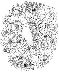 Feel free to download and color away! Coloring Books For Seniors Best Books Supplies More Cleverpedia