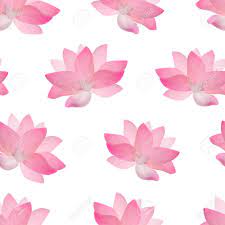 You can have this pattern without attributing us but there is a price attached. Realistic Detailed Pink Lotus Flower Background Pattern Vector Royalty Free Cliparts Vectors And Stock Illustration Image 90172758
