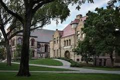 Image result for brown