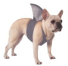 Rubies Shark Fin Dog Costume Dog Shark Costume Dog