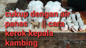 Assalamualaikum braders, ini adalah channel resmi dari h. Begini Cara Mengolah Kepala Kambing Agar Empuk Dan Tidak Bau