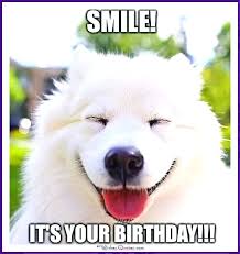 Happy Birthday Memes With Funny Cats Dogs And Animals Happy Birthday Dog Meme Happy Birthday Dog Smiling Dogs