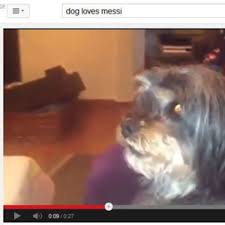 Messi играет с 2005 в фк барселона (барса). Was Hat Dieser Hund Gegen Lionel Messi Fussball