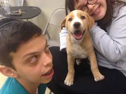 Prettiest puppy Maisie is fitting in well