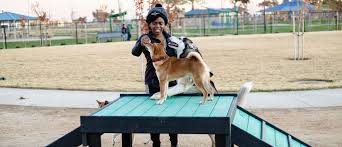 Eisenhower dog park 975 west river street (via rear of park) stamford dog park (at courtland park) 39 courtland avenue, stamford, ct. Dog Parks Cosumnes Csd Elk Grove Galt Ca