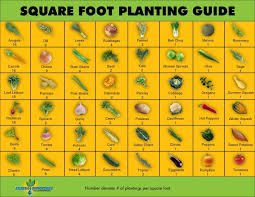 square foot planting guide garden therapy