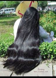 Black Stallion Shiny Long Natural Hair Long Hair Styles Long Shiny Hair Thick Hair Styles