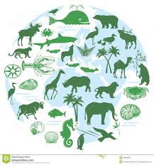 Biodiversity Is The Variety Of Life The Variety Of Different Animals Living In An Ecosystem W Biodiversity Conservation Biodiversity Water Conservation Poster