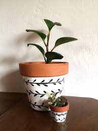 Hand Painted 6 Inch Terracotta Clay Pot Hand Painted Pot Indoor Plant Pot Plant Pot Design Painted Pots Diy Plant Pot Diy