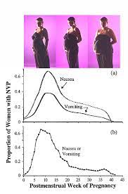 We did not find results for: Morning Sickness Is Mother Nature S Way Of Protecting Mothers And Their Unborn Cornell Biologists Find Cornell Chronicle