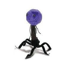 The Infamous T4 Bacteriophage Of Cell Bio 101 Muah Ha Ha Giant Microbes Teddy Bear Stuffed Animal Plush Toy