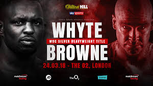 BKFC 35: Slaveski vs. Cedeno Fight Night Photo Gallery