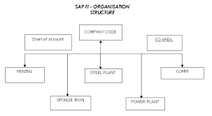 enterprise structure in sap fico