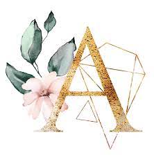 One such thing is aesthetics. Rose Gold Aesthetic Letter A Novocom Top