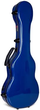 Bathroom design ideas uke tuner with mic. Blossom Blog Abigail Flowers