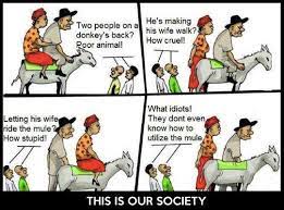 people will always complain no matter what dieren ezel mensen