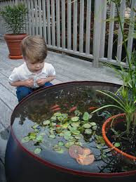 Backyard Water Function Pop Up Pond Aquarium Garten Gartenteich Garten Landschaftsbau