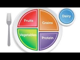 Usda Food Pyramid Out Is The New Food Plate Better