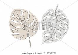 Maybe you would like to learn more about one of these? Exotic Monstera Continuous One Line Drawing Summer Tropical Leaf Hand Drawn On White Background Minimalist Design