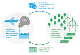 Or contact us for larger and ongoing inquiries. Carbon Offsets Are Not Our Get Out Of Jail Free Card
