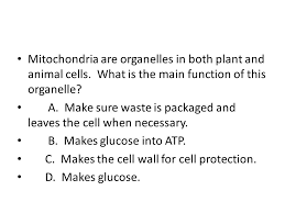 They are all chemical reactions that take place inside the cell. 1 6 Review Set Photosynthesis Cellular Respiration Ppt Download