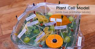 You might not know it, but plants are able to sense their environment and actually respond appropriately. Plant Cell Model Researchparent Com