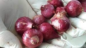 Jahe pun dihasilkan petani di ponorogo dan. Bawang Merah Selundupan Asal Malaysia Dibekuk Di Siak