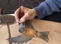 Wood Burning Demonstration