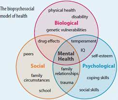 The biopsychosocial model of health and illness is a framework developed by george l. The Biopsychosocial Model And Chiropractic Chiropractic Resource Organization Largest Chiropractic News Source