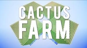 Make a ditch for the cactus to be collected. Too Small The Mega Cactus Farm Youtube