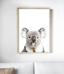 Koala Print Australian Animal Print Photography Koala Art Etsy Animal Wall Art Koala Wall Art Prints
