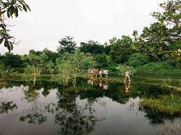 According to singapore's geological map, the island's strongest rock formation is found at the gombak norite, where its rock is tested to be more than ten times stronger than concrete. 11 Secret Spots In Singapore We Discovered Via Geocaching