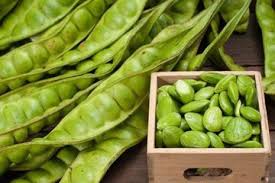 Lagipun orang kata nanti mulut berbau. Berkhasiat Air Rebusan Kulit Petai Bisa Jadi Obat Alami Penyakit Mematikan Di Dunia Semua Halaman Bolastylo Bolasport Com