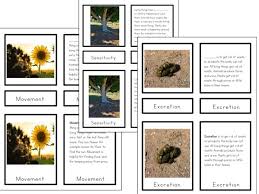 Mrs Gren Biology Or Botany Or Zoology Activity Great For Elementary Classrooms 5 Par Characteristics Of Living Things Montessori Elementary Montessori Science