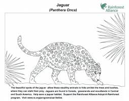 Select from 35919 printable coloring pages of cartoons, animals, nature, bible and many more. Jaguar Coloring Page Rainforest Alliance