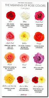 Rosetattoo Tattoo Cool Tattoo Flash Cherry Blossom Tattoo Sleeve Half Tattoo Sleeve Cats Eyes Tatt Rose Color Meanings Flower Meanings Language Of Flowers