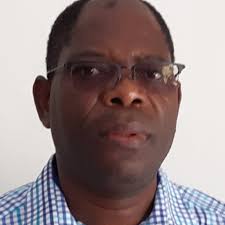 Image result for Lannea katangensis